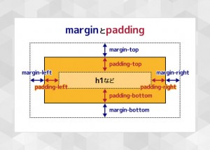 [コーディングの基礎]「margin」と「padding」